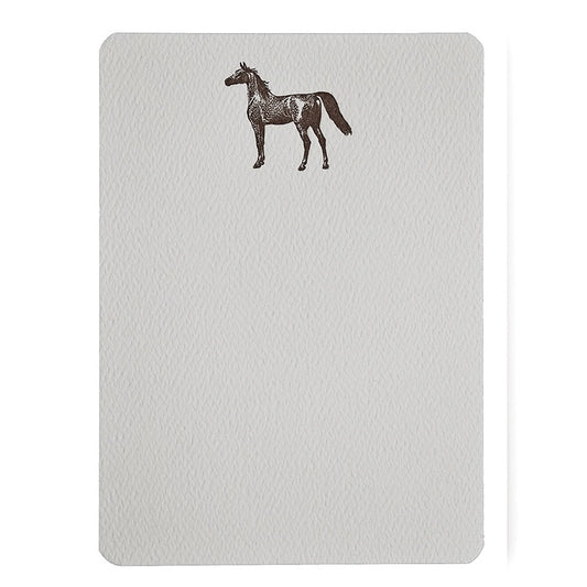 Appoloosa Horse - Letterpress Boxed Tail Cards