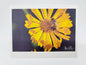 Bee on Flower Blank Card