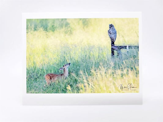 Fawn and Owl Blank Card