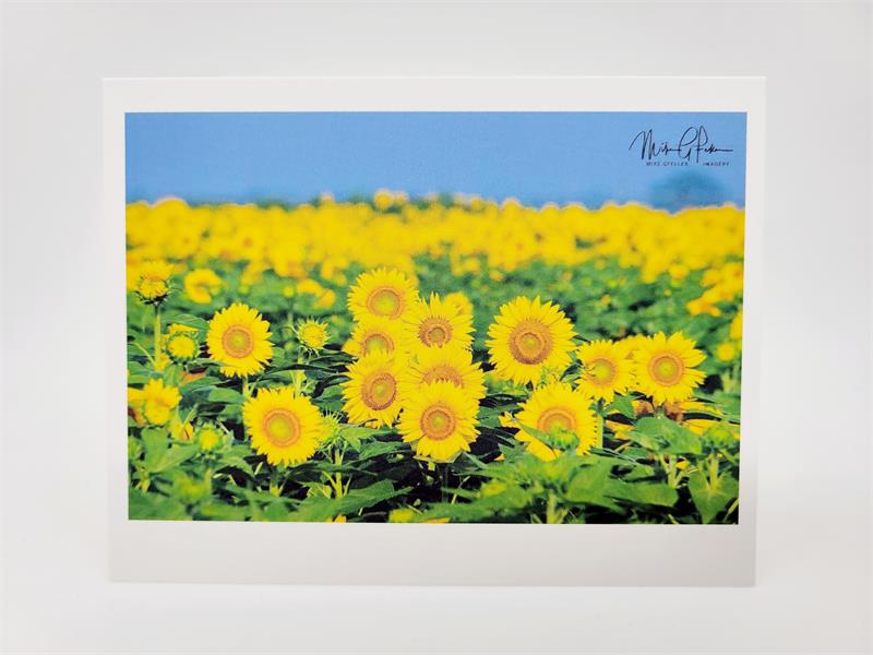 Flower Field Blank Card